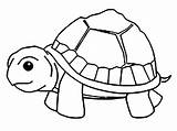 Turtle coloring Pages  ColoringLib sketch template