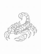 Prehistoric Scorpion coloring Page sketch template