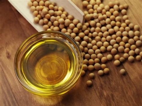 Soybean oil - Siver Agro LLC