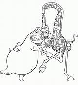 Gloria And Melman coloring page  ColouringPages sketch template