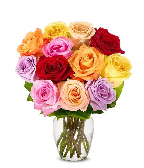 One Dozen Rainbow Roses at From You Flowers