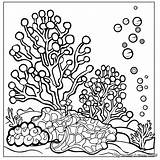 Porifera Coloring Pages 2025 sketch template