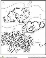 Swimming Fish  Worksheet Educationcom sketch template