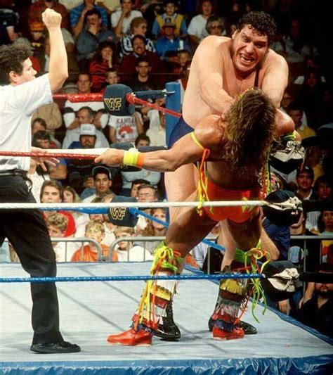 Andre The Giant vs Hulk Hogan | Andre the giant, Wwe legends, Ultimate warrior