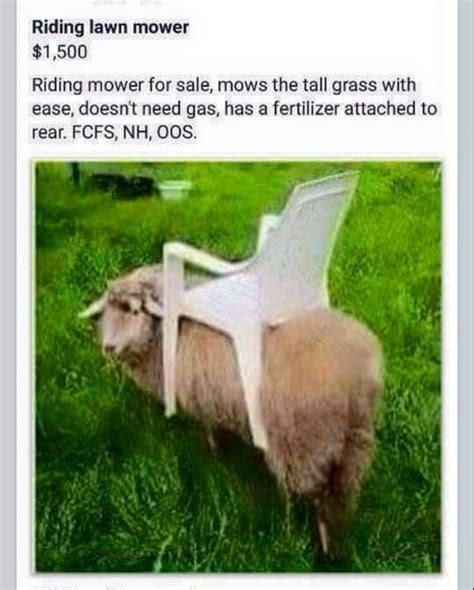 funniest farm jokes - Google Search | Funny animal jokes, Happy ...