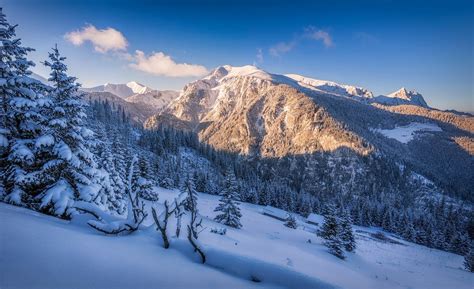 nature, Landscape, Winter, Snow, Mountain, Forest, Sunset, Trees ...