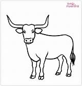 25 Cow Coloring Pages  Free Printable Sheets And Images For Kids sketch template