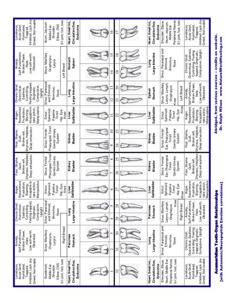 Pin by Hope Smith on Dental assistant | Dental assistant study, Dental hygiene school, Dental ...