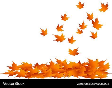 Maple-leaves falling Royalty Free Vector Image