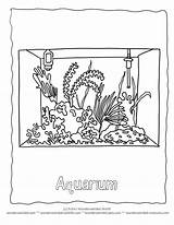 Aquarium Coloring Pages  Printable Sheets For Kids sketch template