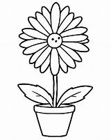 Flower Plant coloring Page  Download Print Or Color Online For Free sketch template