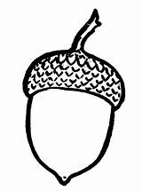 Acorn Coloring Pages sketch template