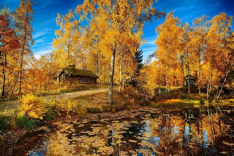 Fall Norway | Norway Autumn: point_of_no_23 Norway Wallpaper, New Nature Wallpaper, Forest ...