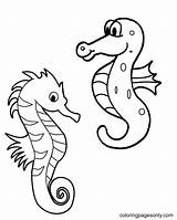 50  Seahorse Coloring Pages Free Printable PDF & Online sketch template