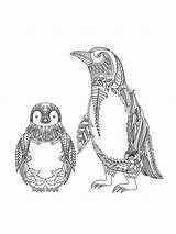 Beautiful penguins With A mandala Decoration coloring page sketch template