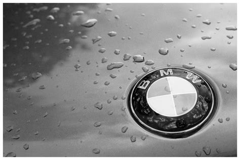 Bmw Rain Logo HD Wallpaper - 9to5 Car Wallpapers