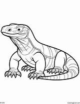 Komodo Dragon Coloring Page sketch template
