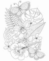 Paradise Coloring Pages sketch template