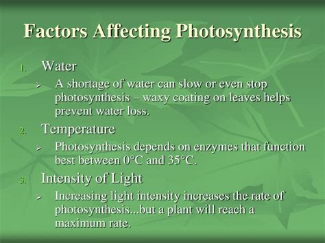 PPT - Photosynthesis PowerPoint Presentation, free download - ID:5948107