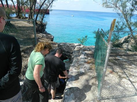 Land N Sea Park Tours (Nassau) - All You Need to Know BEFORE You Go