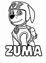 Paw Patrol Zuma Coloring Pages sketch template