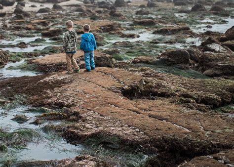 5 Tips for Visiting the Point Loma Tide Pools with Kids