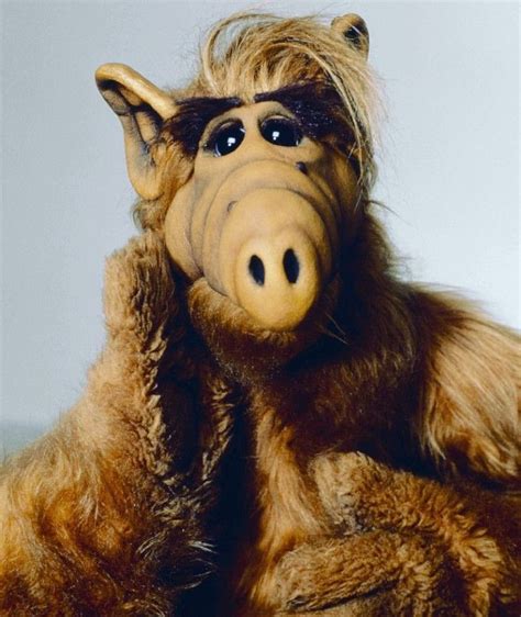 Pin by Terry on alf | Alf, 80s cartoons, Tv shows