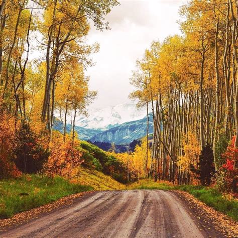 Fall colours (Last Dollar Road, near Telluride, Colorado) by Peter ...