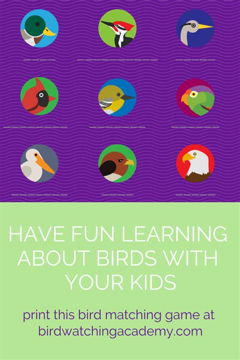 Bird Matching Game - Bird Watching Academy | Helping kids, Matching games, Fun learning