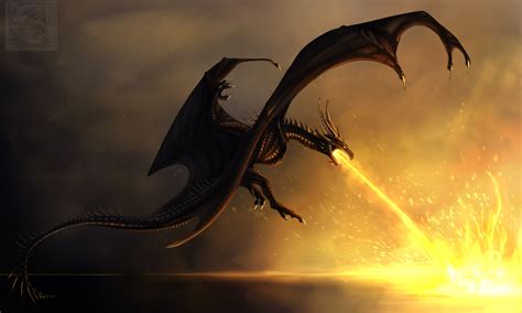 Dragon Burning Flames Wallpaper, HD Artist 4K Wallpapers, Images and Background - Wallpapers Den