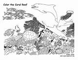 Coral Reef Coloring Pages To Print sketch template