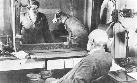 28 Pavlov’s Dog Experiment - 28 Psychological Experiments That