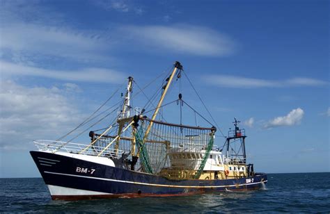 Free stock photo of boat, fishing, ocean