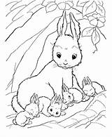 Baby bunnies coloring Pages Download And Print For Free sketch template