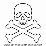 Cranium Coloring Pages  Ultra sketch template