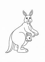Happy Mother And Baby Kangaroo coloring Page  Download Print Or Color sketch template