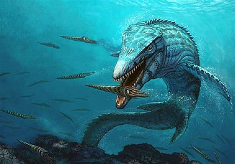 Mosasaurs are often thought to be marine dinosaurs, but they are ...