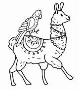 A Llama coloring page  Download Print Or Color Online For Free sketch template