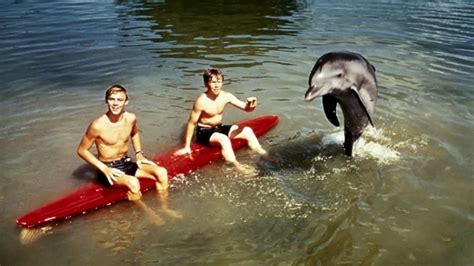 Flipper (TV Series 1964-1967) — The Movie Database (TMDB)