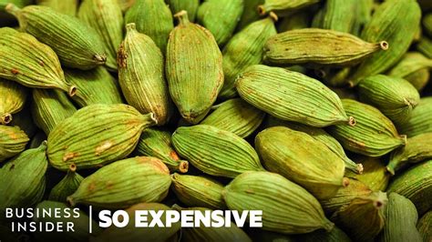 Why Green Cardamom Is So Expensive | So Expensive - YouTube