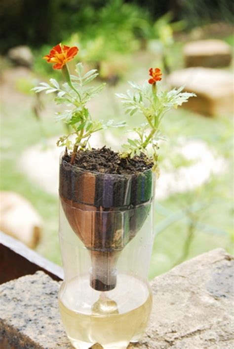 DIY Self-Watering Seed Starter Pot Planter