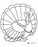 Thanksgiving Coloring Pages sketch template