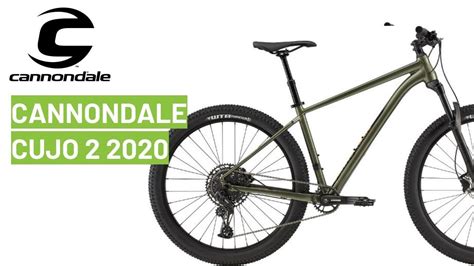 Cannondale Cujo 2 2020: bike review - YouTube