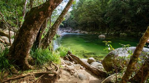 Visit Mossman Gorge: 2022 Travel Guide for Mossman Gorge, Queensland | Expedia