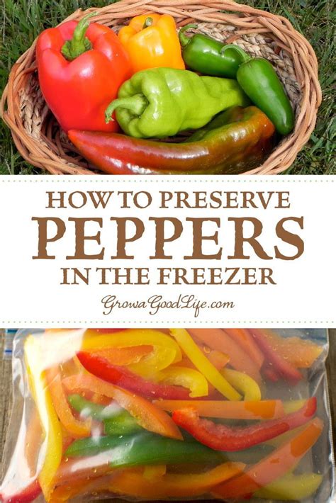 How to Freeze Peppers | Recipe | Stuffed peppers, Freezing peppers, Sweet pepper recipes