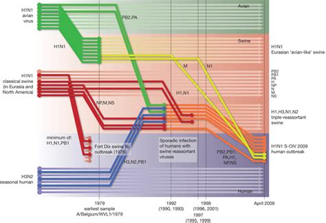 Reconstruction of the sequence of reassortment events leading up to the... | Download Scientific ...