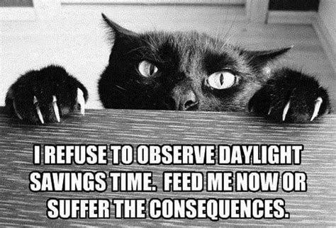 30 Funny Daylight Savings Memes To Spring Forward and Fall Back