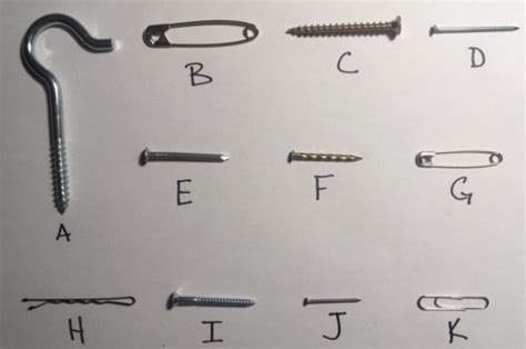 Solved How would I make a phylogenetic tree with these | Chegg.com