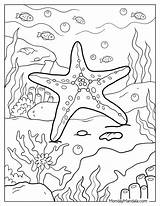 20 Starfish Coloring Pages Free PDF Printables sketch template