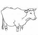 Dessins Gratuits à Colorier  Coloriage Boeuf Imprimer sketch template